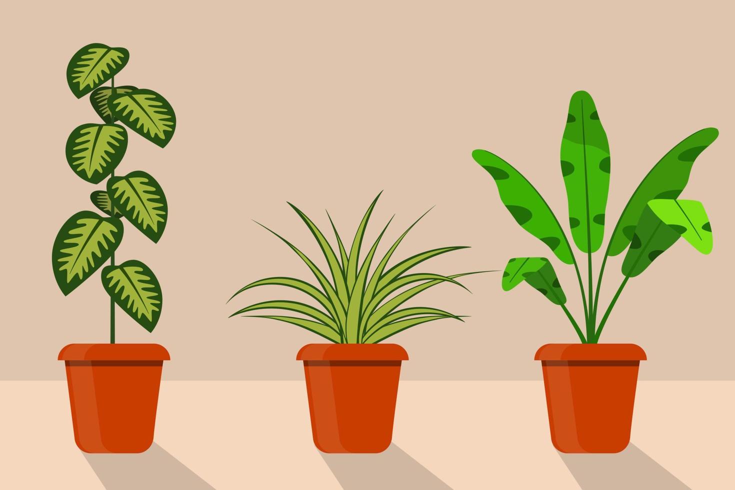 vlak stijl kamer planten in potten, vector illustratie. bladgroen, dieffenbachia.