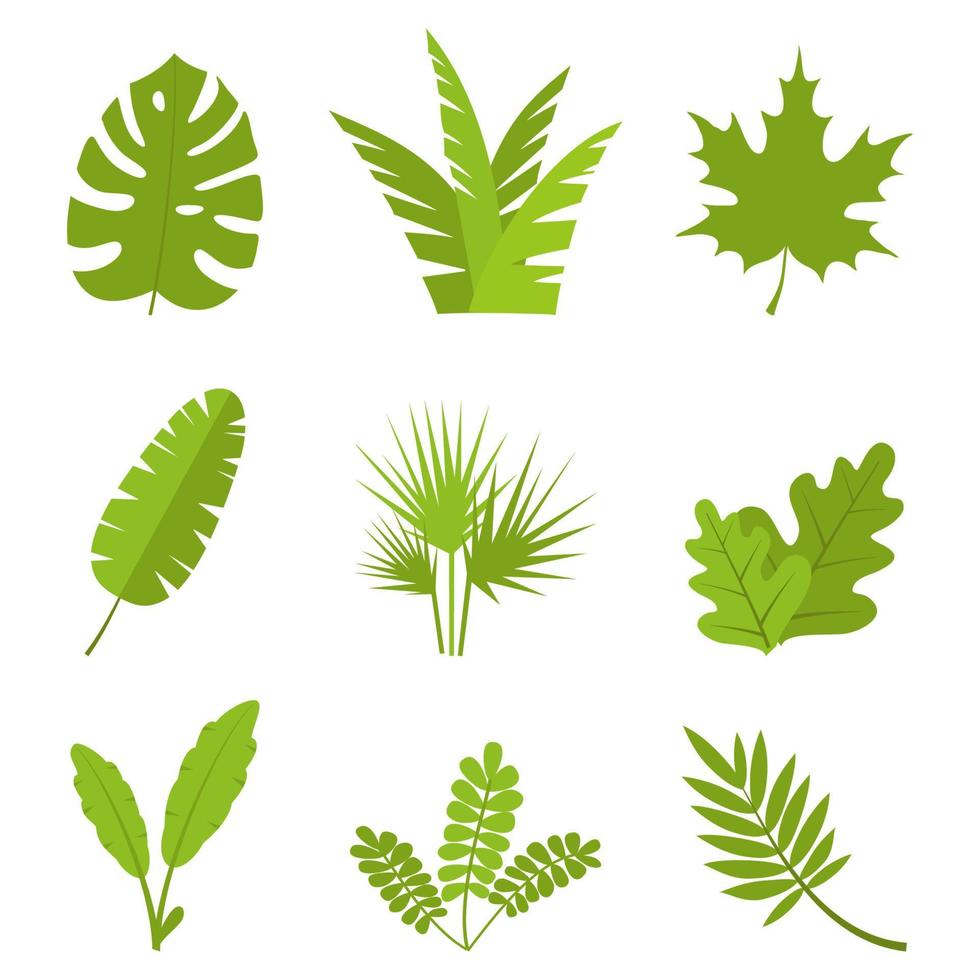 planten, bladeren, takken, struiken en potten, set. vlak vector illustratie.