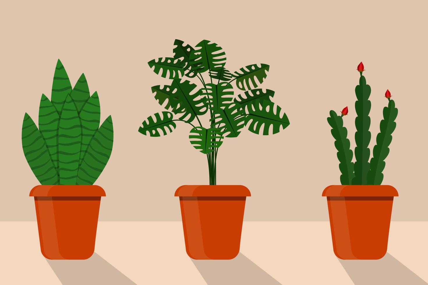 vlak stijl kamer planten in potten, vector illustratie. sanseveriya, disocactus, monstera.