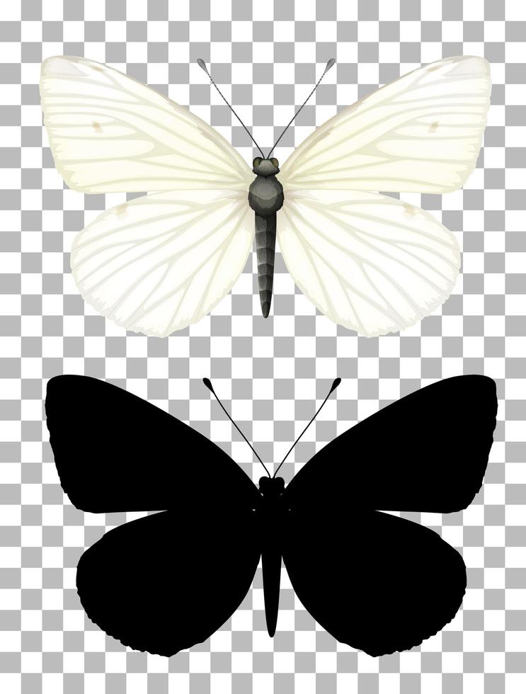 vlinder en zijn silhouet op transparante achtergrond vector