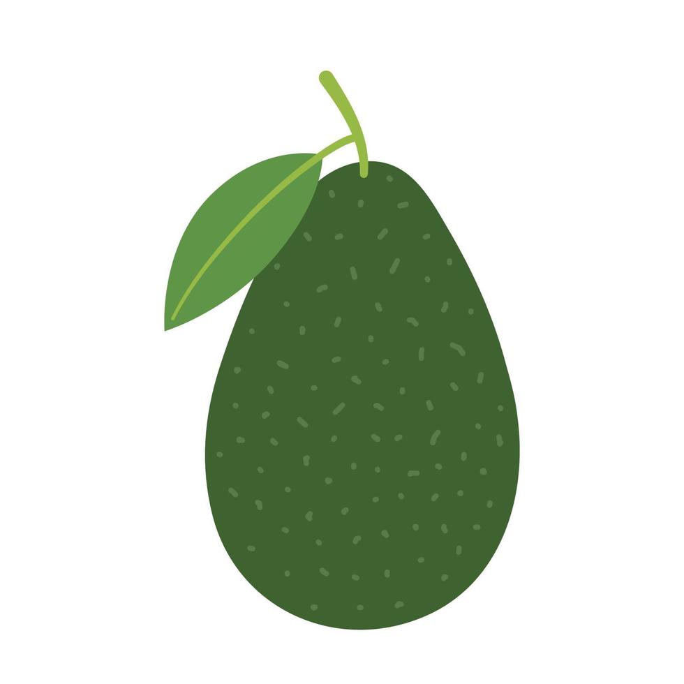 avocado. geheel rauw groen fruit. hand getekend gekleurde vlak vector illustratie geïsoleerd Aan wit achtergrond.