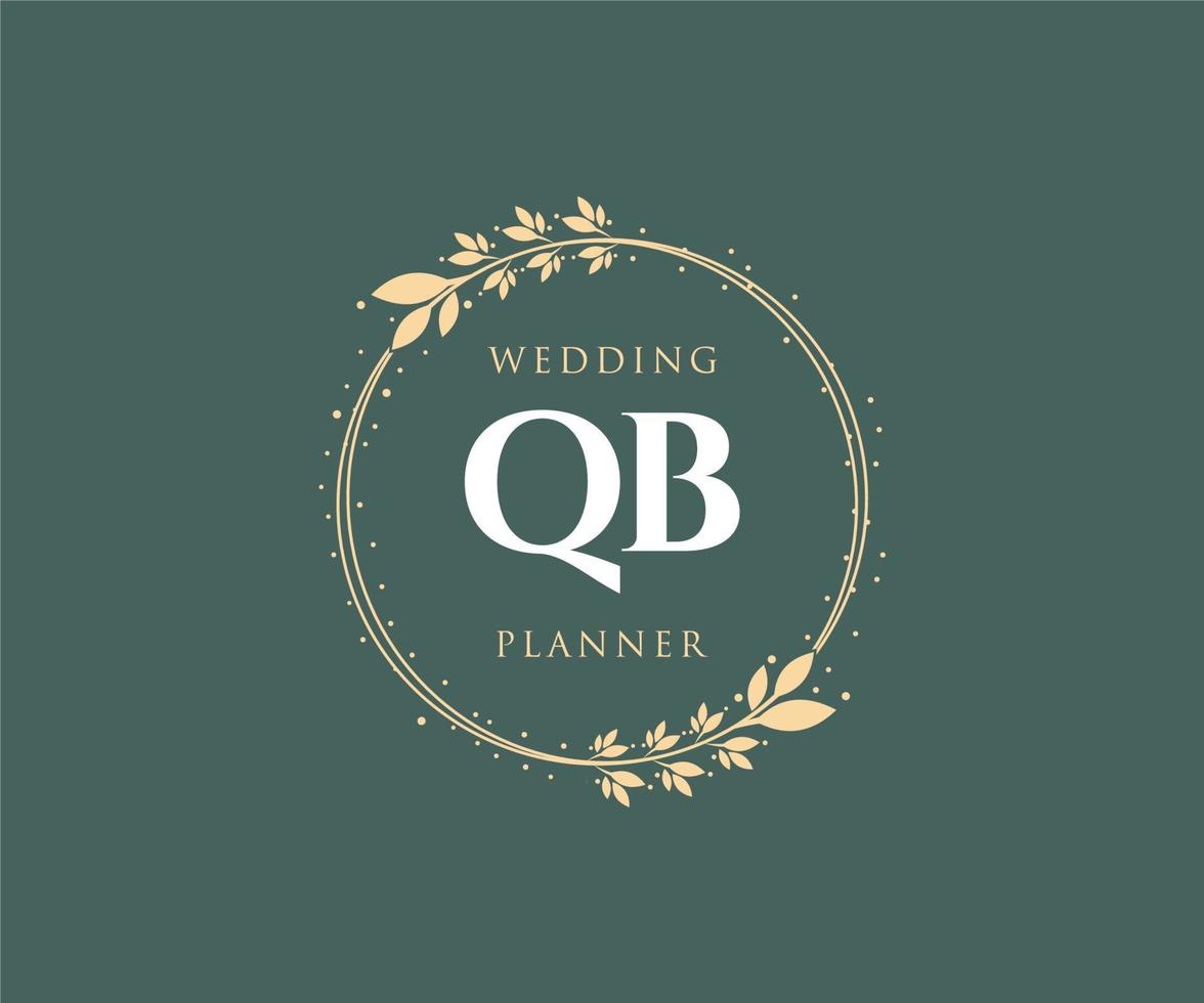 qb initialen brief bruiloft monogram logos verzameling, hand- getrokken modern minimalistisch en bloemen Sjablonen voor uitnodiging kaarten, opslaan de datum, elegant identiteit voor restaurant, boetiek, cafe in vector