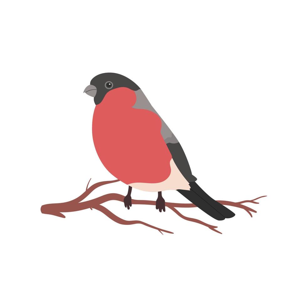 goudvink vogel Aan een Afdeling geïsoleerd Aan wit achtergrond. klein schattig goudvink vogel vector illustratie