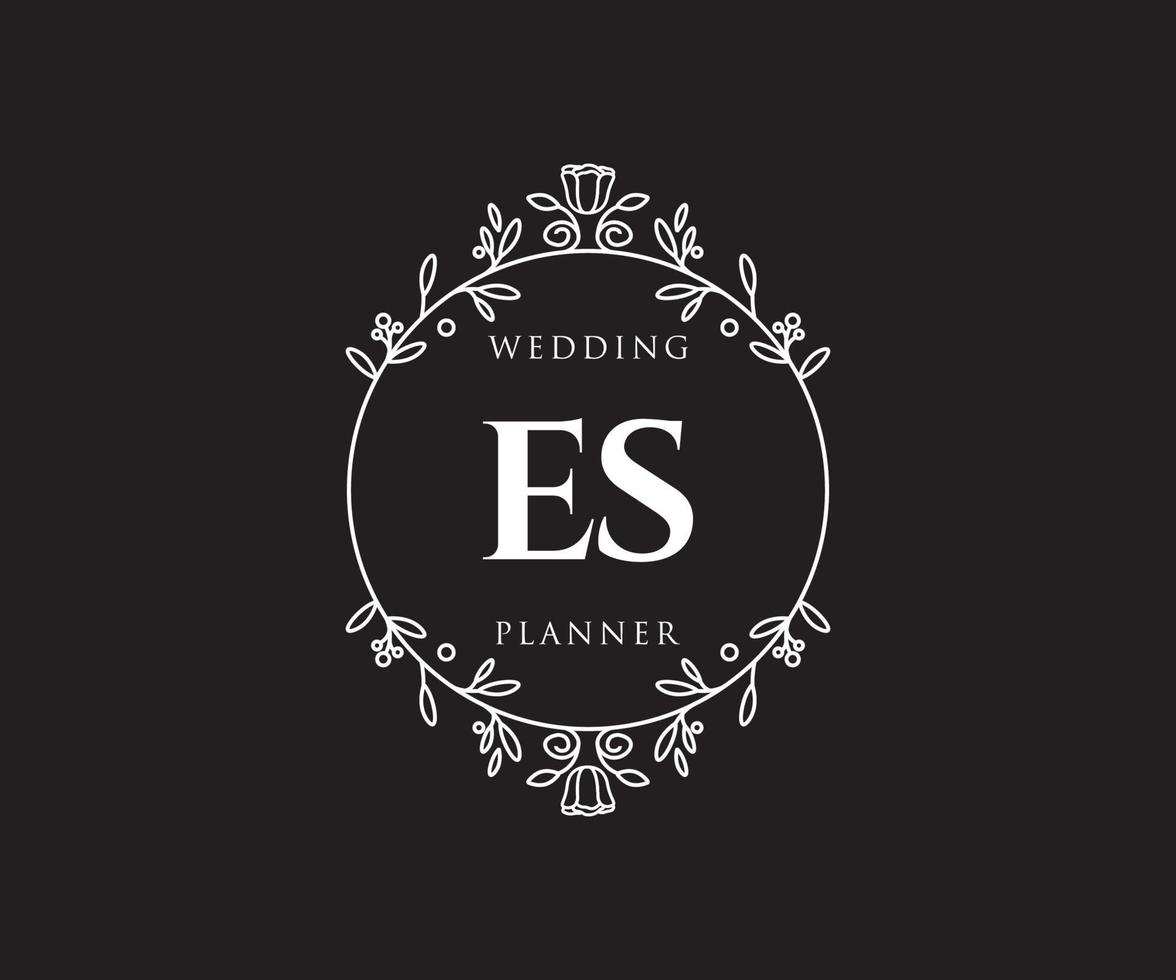 es initialen brief bruiloft monogram logos verzameling, hand- getrokken modern minimalistisch en bloemen Sjablonen voor uitnodiging kaarten, opslaan de datum, elegant identiteit voor restaurant, boetiek, cafe in vector