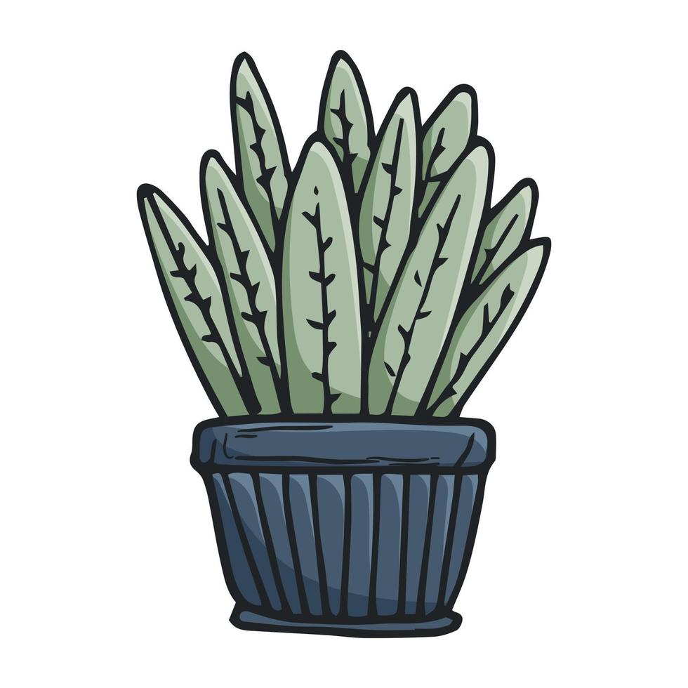 vector tekening illustratie van huis plant, cactus in een pot.