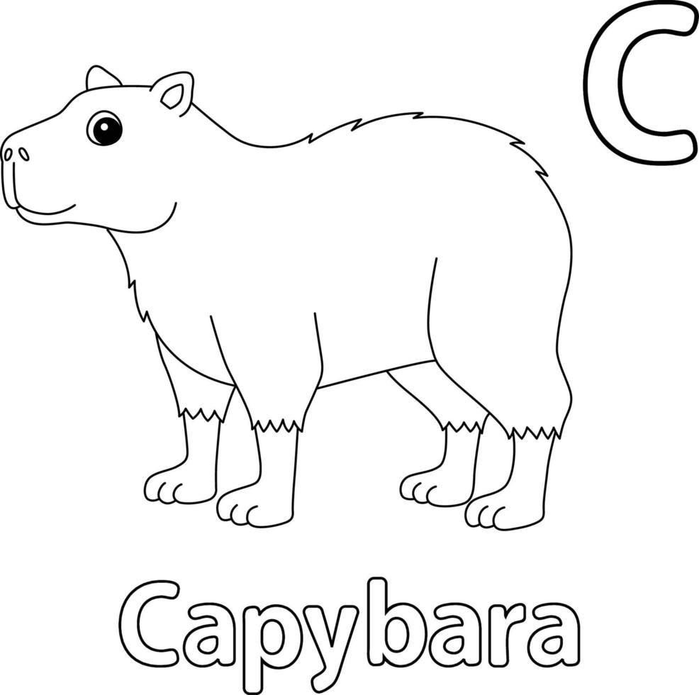 capibara dier alfabet abc geïsoleerd kleur c vector