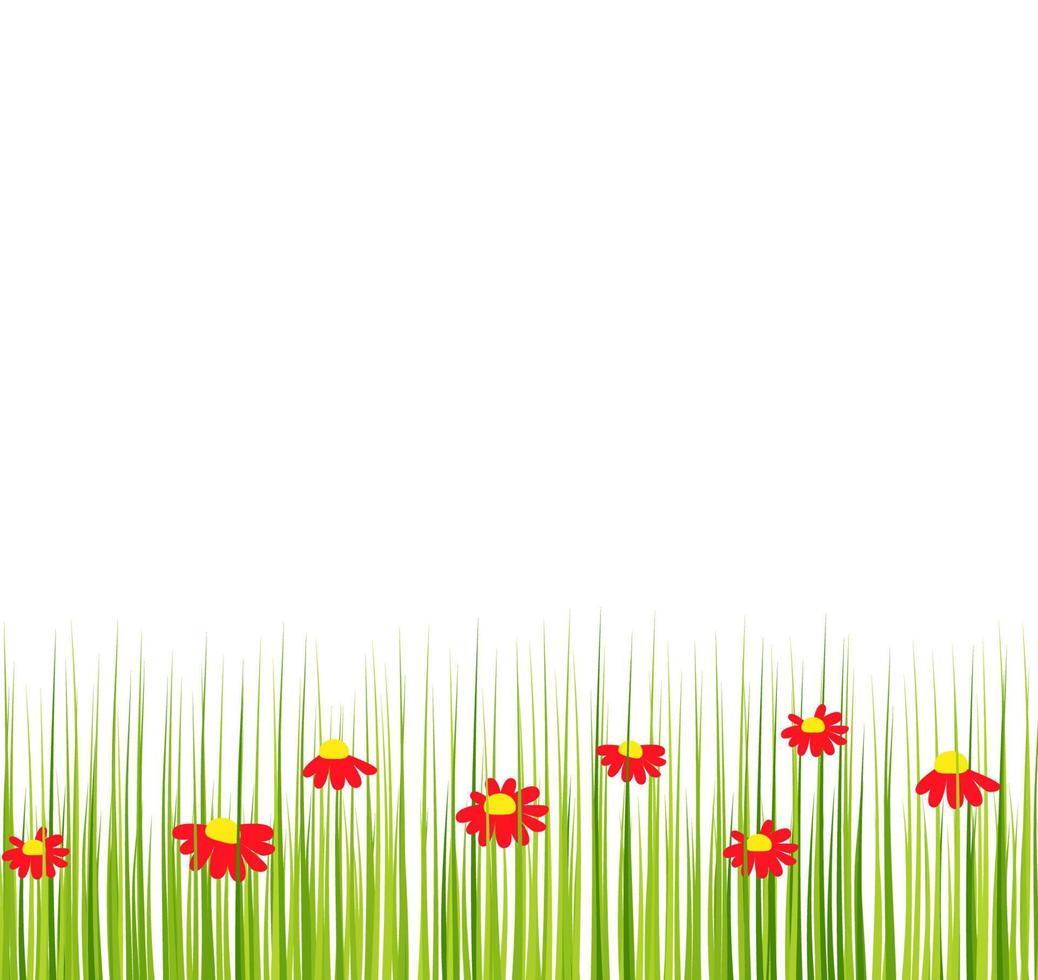 gras achtergrond met rood bloemen. vector illustratie in een vlak stijl.