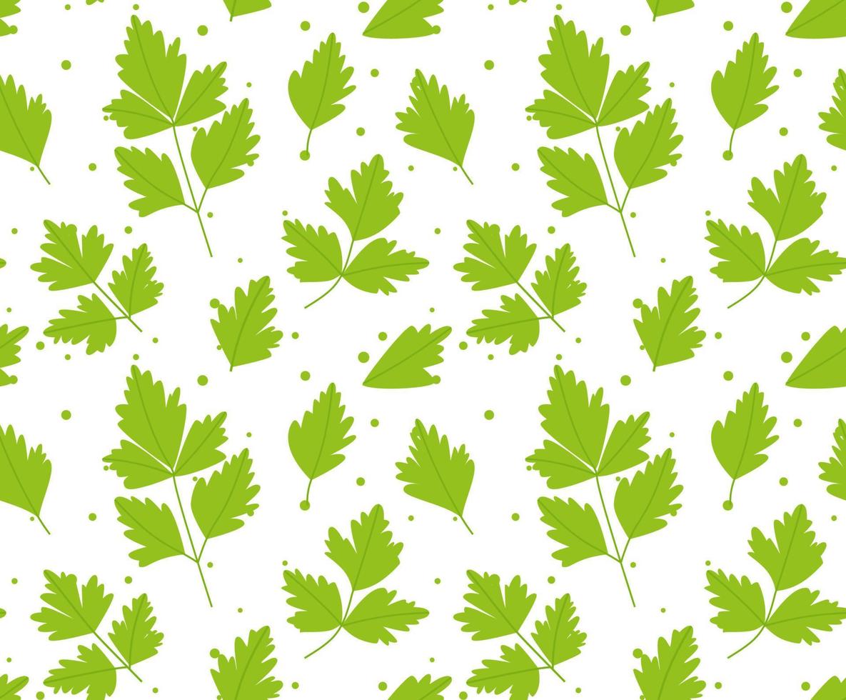 naadloos patroon met peterselie bladeren. Aan wit achtergrond. vector illustratie
