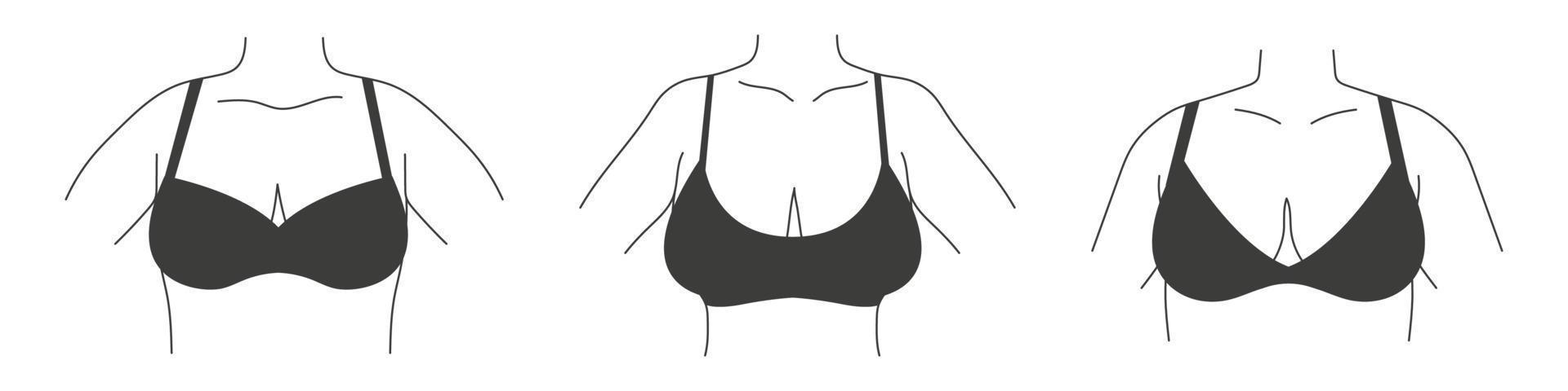 verschillend types van beha's. verzameling van lingerie. vector silhouetten van vrouw ondergoed