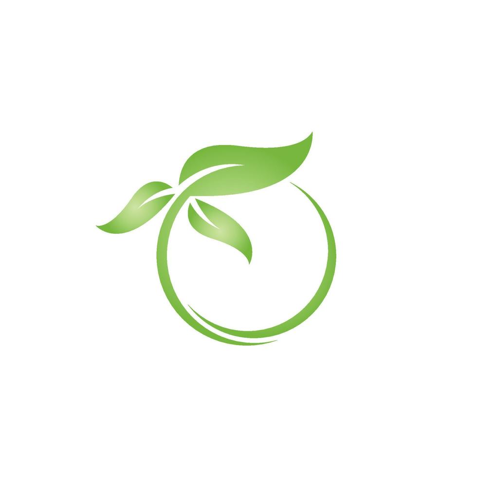 eco boom blad logo sjabloon vector