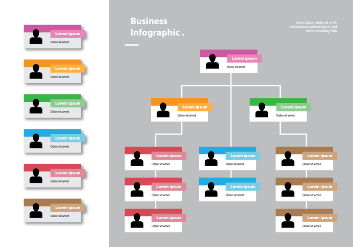 Kleur kaart organisatiestructuur infographic vector