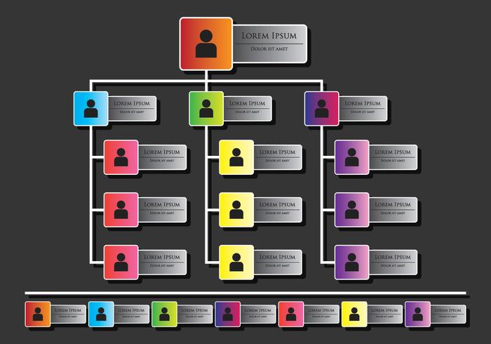 Org chart infographics vector