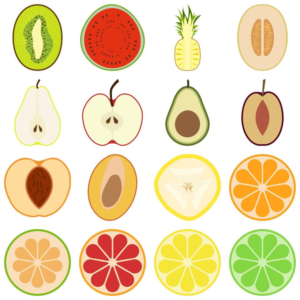 reeks van cutaway fruit vector