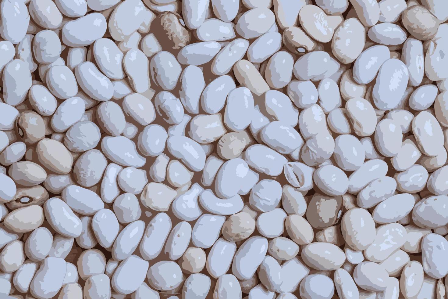 realistisch vector illustratie van een achtergrond van wit snijboon bonen. structuur van rauw Boon zaden. gezond voedsel concept.