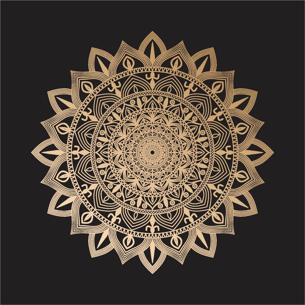 mandala ontwerp decoratief patroon decoratie sneeuwvlok vector