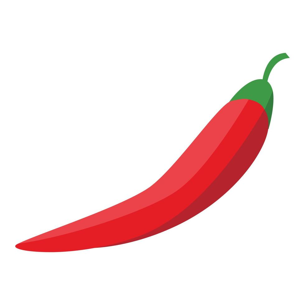 rood chili peper icoon, isometrische stijl vector