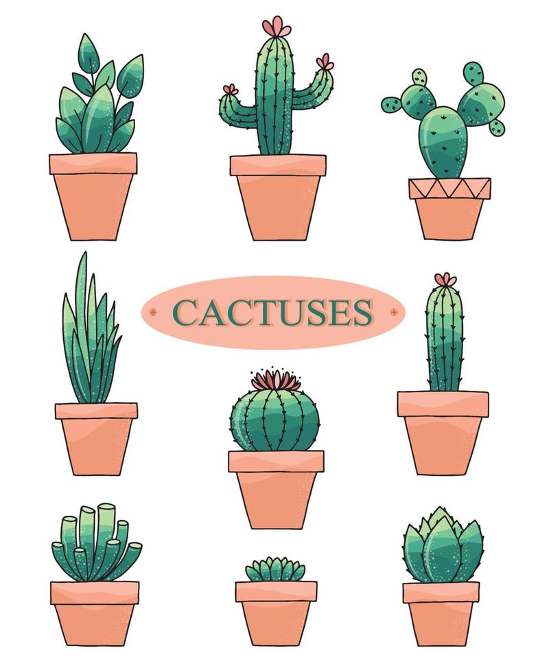 reeks van cactussen, vetplanten en kamerplanten. vector illustratie in de stijl van vlak.