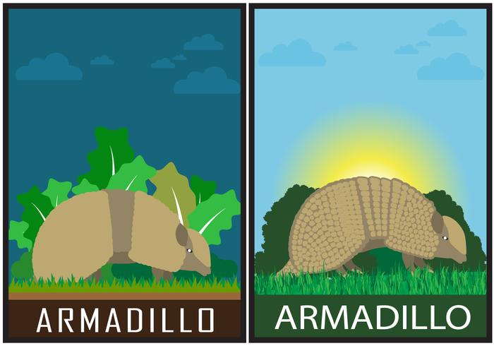 Armadillo Vector Scènes