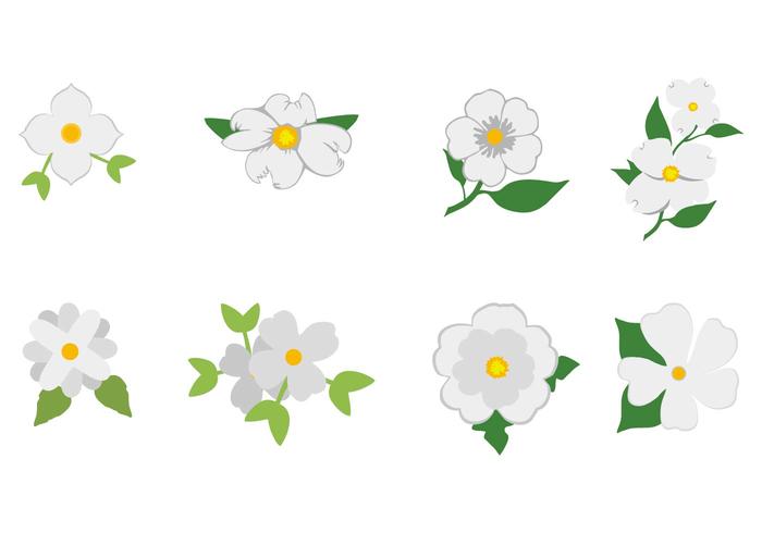 Gratis White Dogwood Icon Vector