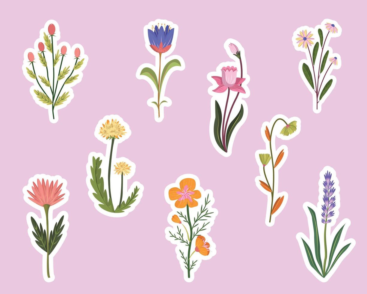 voorjaar wild bloem journaal stickers reeks vector