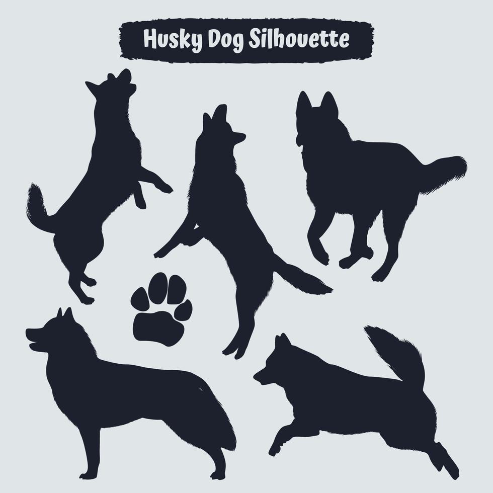 verzameling van dierlijke husky-honden in verschillende posities vector