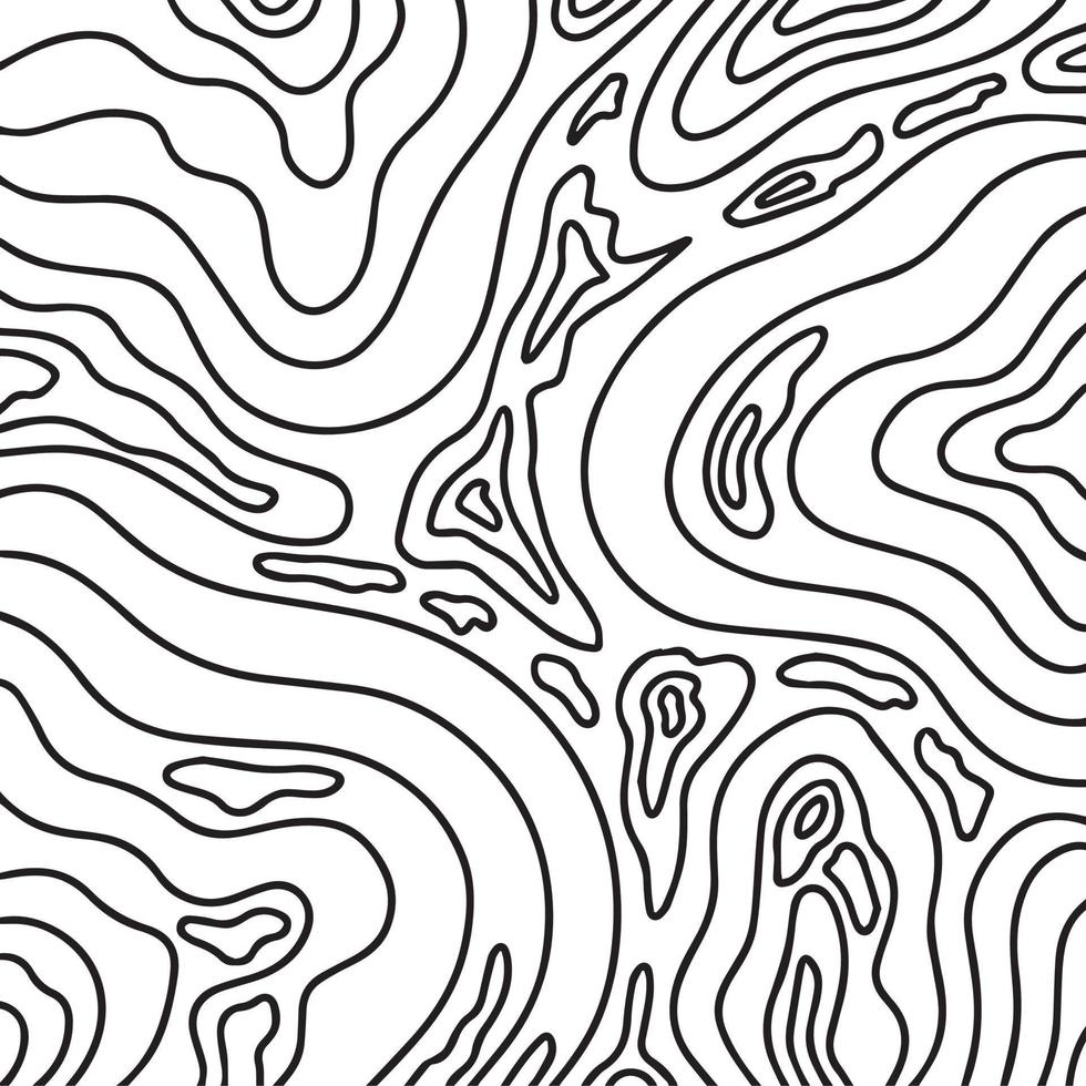 zwart en wit monochroom aardrijkskunde of grond topografie maas contour decoratie gemakkelijk vlak minimalistische plein vector achtergrond. natuurlijk meting themed behang achtergrond.