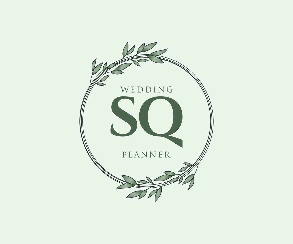 sq initialen brief bruiloft monogram logos verzameling, hand- getrokken modern minimalistisch en bloemen Sjablonen voor uitnodiging kaarten, opslaan de datum, elegant identiteit voor restaurant, boetiek, cafe in vector