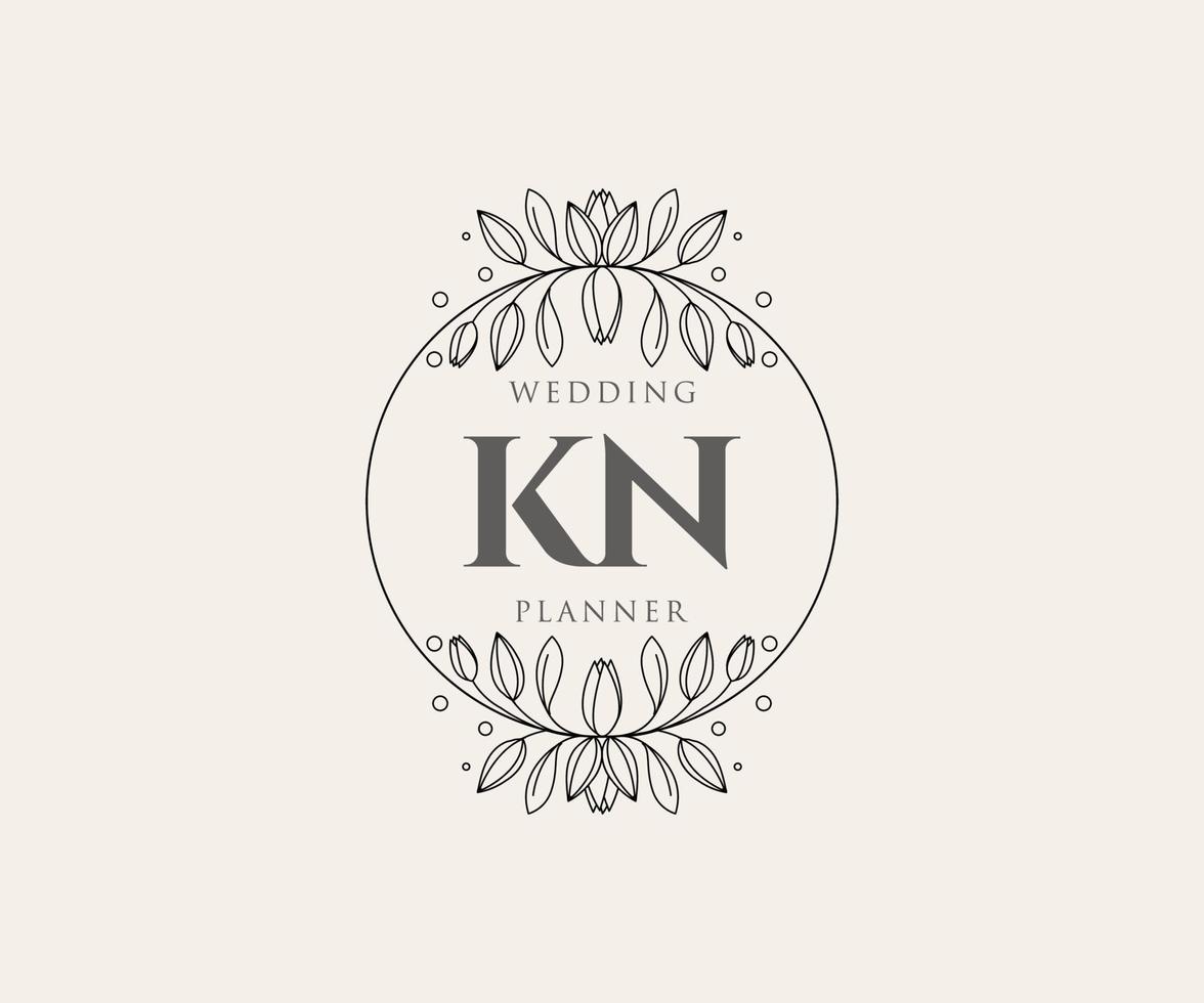 kn initialen brief bruiloft monogram logos verzameling, hand- getrokken modern minimalistisch en bloemen Sjablonen voor uitnodiging kaarten, opslaan de datum, elegant identiteit voor restaurant, boetiek, cafe in vector