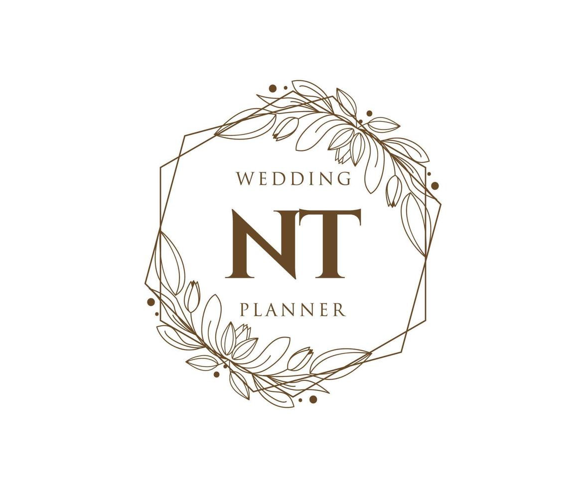 nt initialen brief bruiloft monogram logos verzameling, hand- getrokken modern minimalistisch en bloemen Sjablonen voor uitnodiging kaarten, opslaan de datum, elegant identiteit voor restaurant, boetiek, cafe in vector