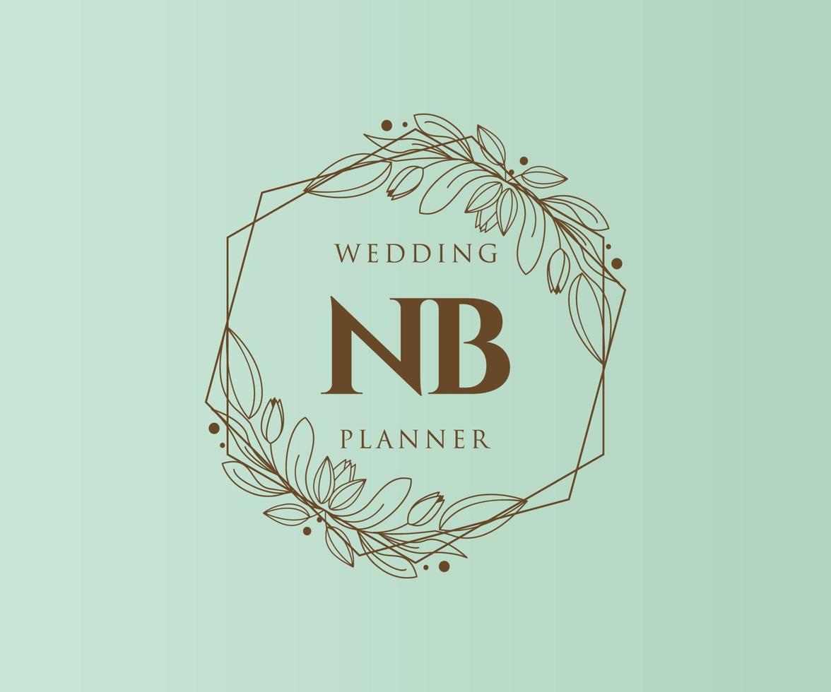 nb initialen brief bruiloft monogram logos verzameling, hand- getrokken modern minimalistisch en bloemen Sjablonen voor uitnodiging kaarten, opslaan de datum, elegant identiteit voor restaurant, boetiek, cafe in vector