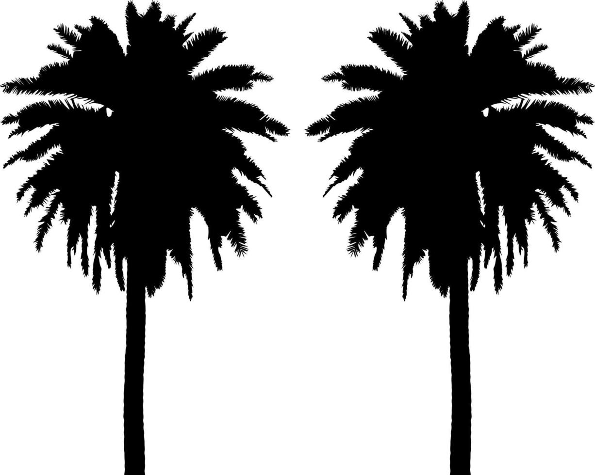 zwart bomen reeks geïsoleerd Aan wit achtergrond. boom silhouetten. ontwerp van bomen voor affiches, banners en promotionele artikelen. vector illustratie