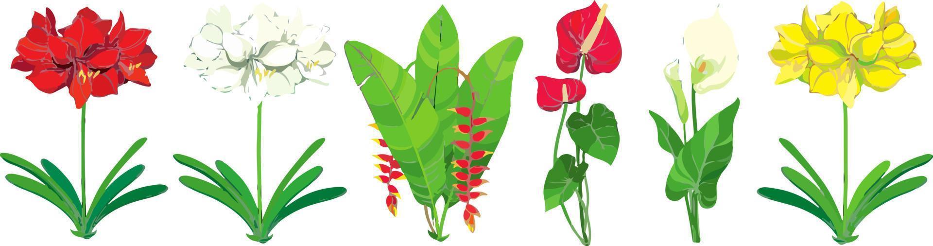 prachtig veelkleurig bloeiend bloemen en bladeren grens. voorjaar botanisch vlak vector illustratie Aan wit achtergrond