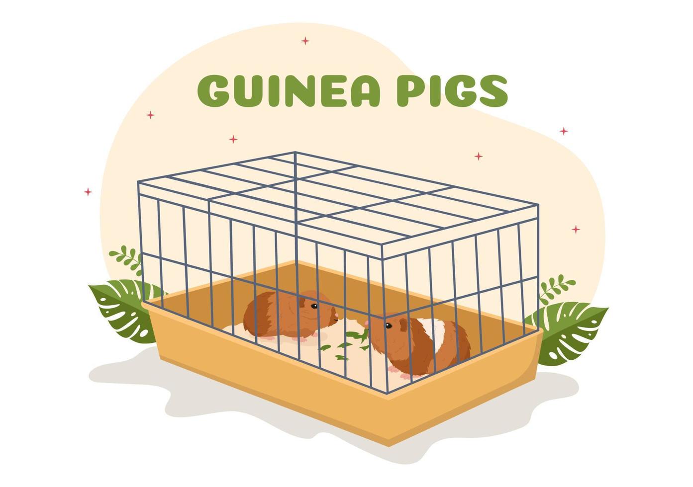 Guinea varken huisdieren hamsters dieren rassen geschikt voor poster of groet kaart in vlak schattig tekenfilm hand- getrokken Sjablonen illustratie vector