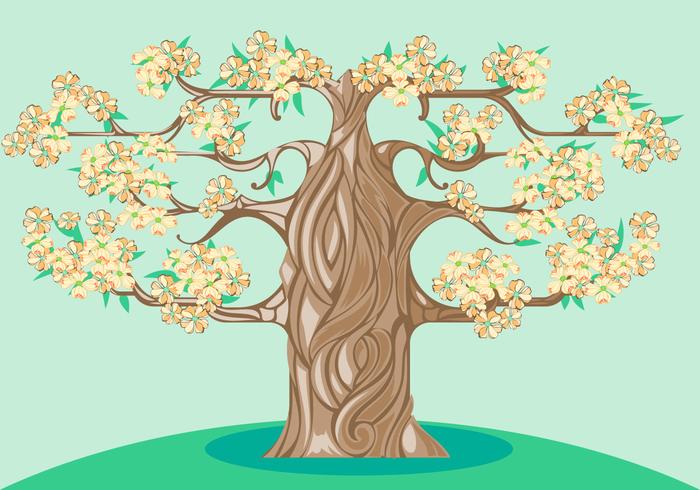 Dogwood Bloemen en Boom Illustratie vector