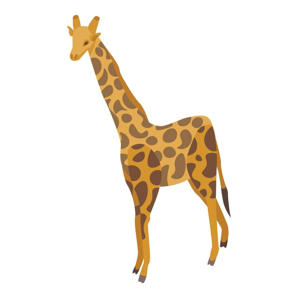 dierentuin giraffe icoon, isometrische stijl vector