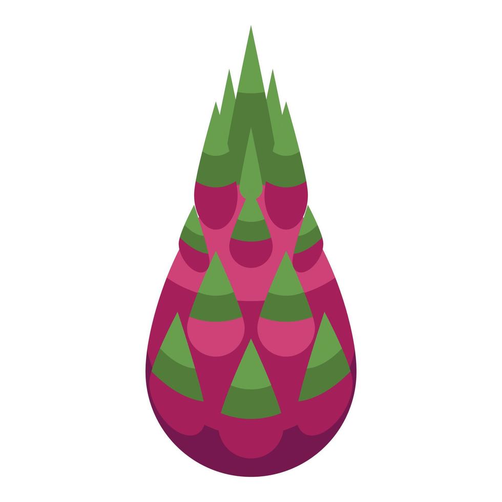 geheel pitaya icoon, isometrische stijl vector