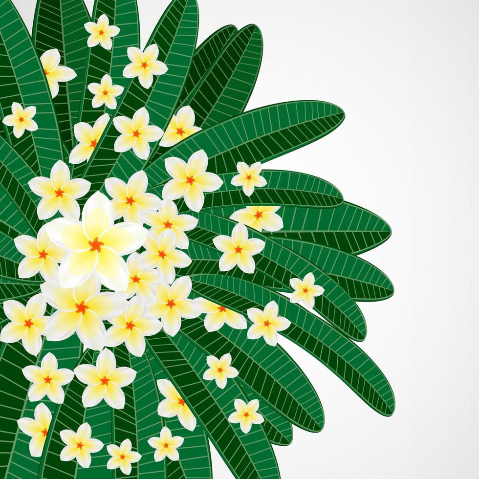 bloemdessin achtergrond. plumeria bloemen met vogels, vlinders. vector