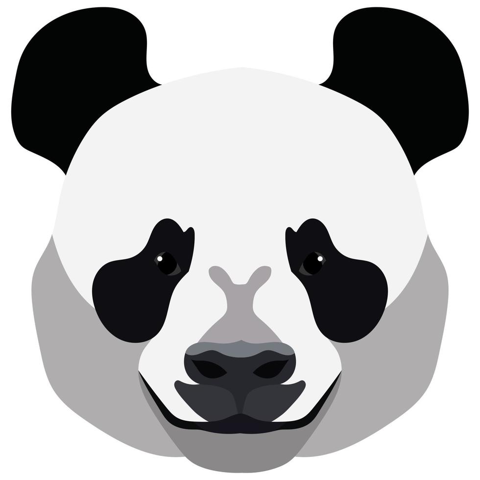 schattig panda beer gezicht geïsoleerd Aan wit achtergrond. vector