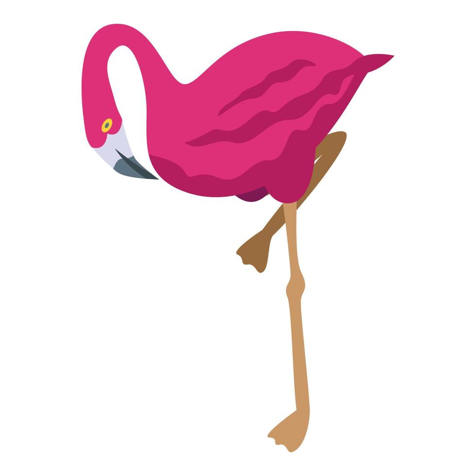 mode flamingo icoon isometrische vector. grappig vogel vector