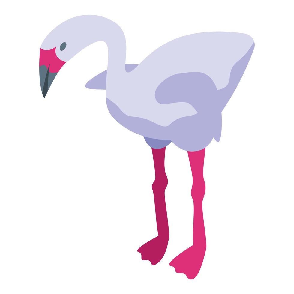 schattig flamingo icoon isometrische vector. tropisch vogel vector