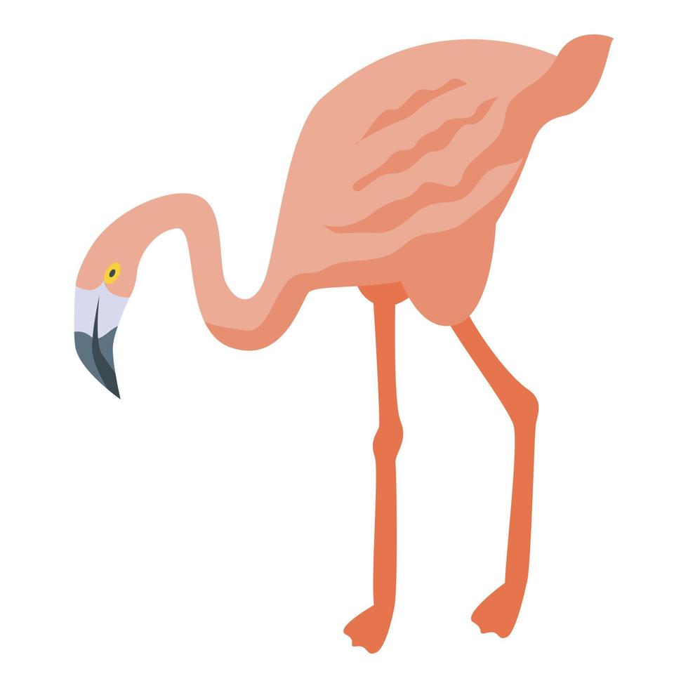 kroon flamingo icoon isometrische vector. schattig dier vector