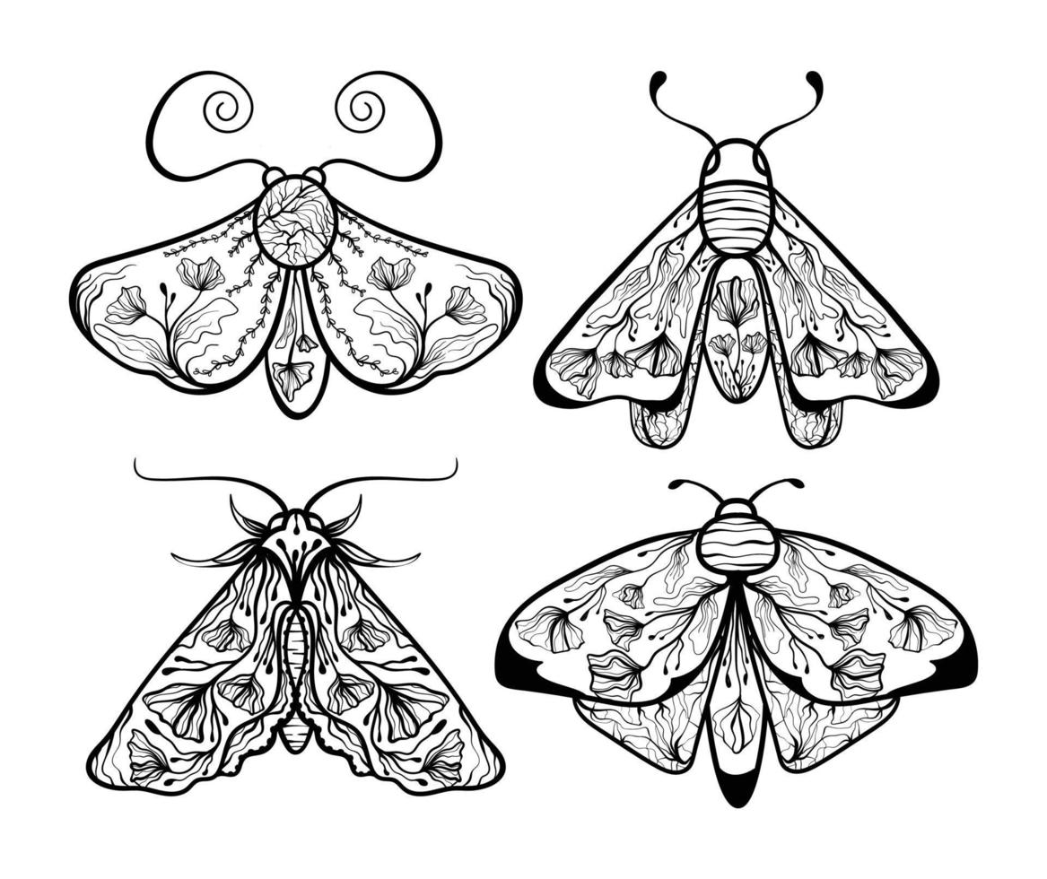 boho bloemen vlinder mot insect lijn kunst reeks vector illustratie 01