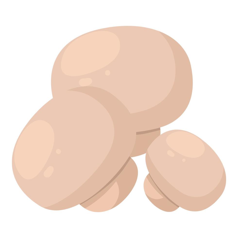 champignon icoon isometrische vector. wit ongekookt eetbaar paddestoel icoon vector