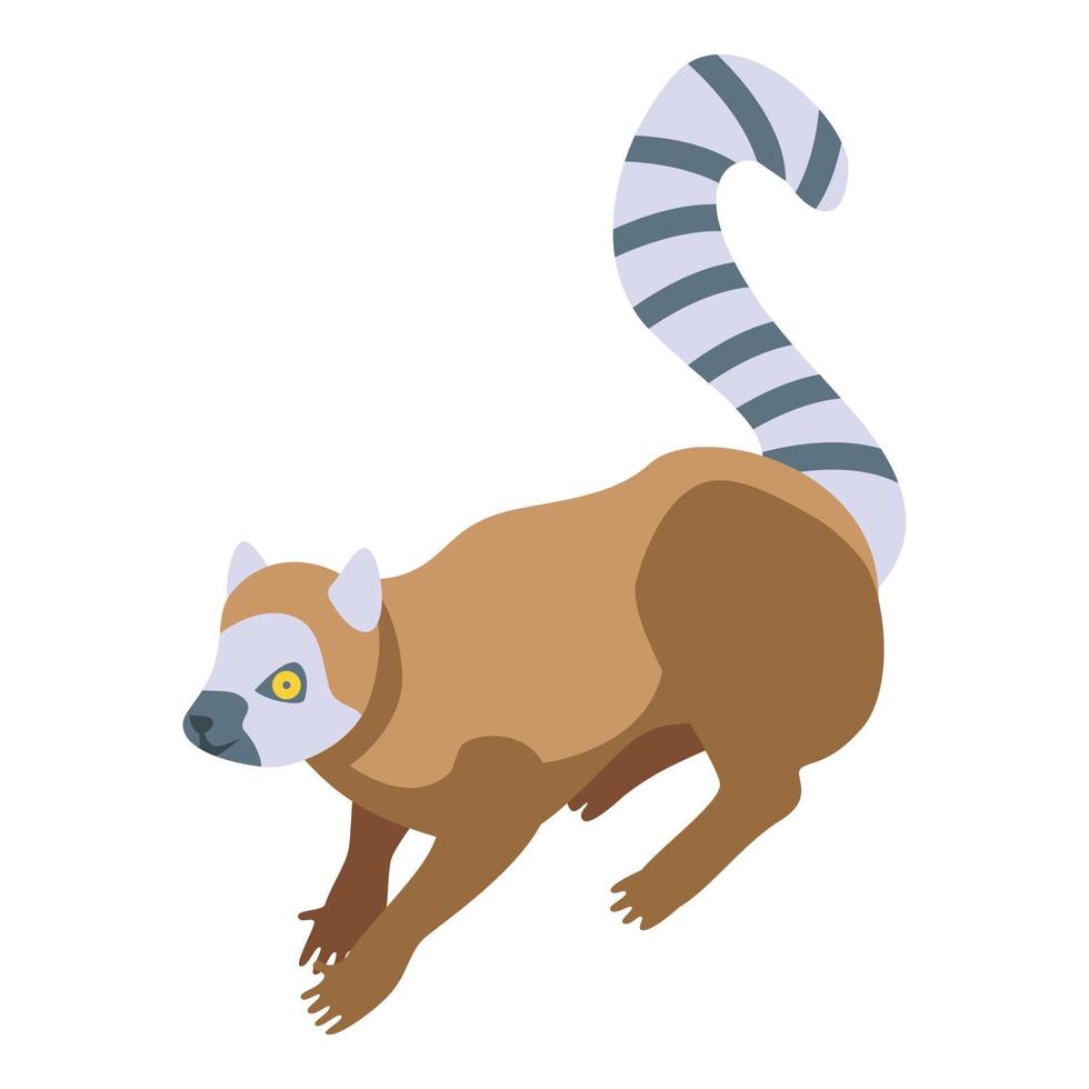 zuiden lemur icoon, isometrische stijl vector