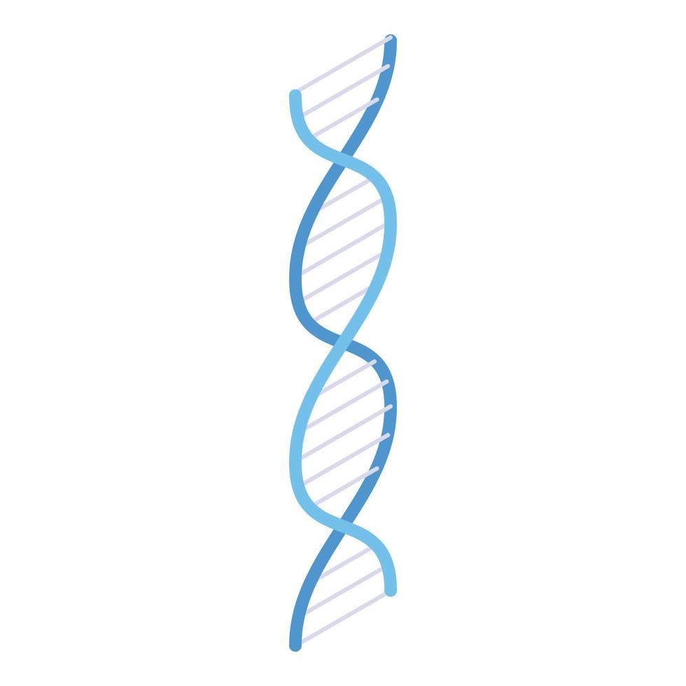 dna icoon, isometrische stijl vector