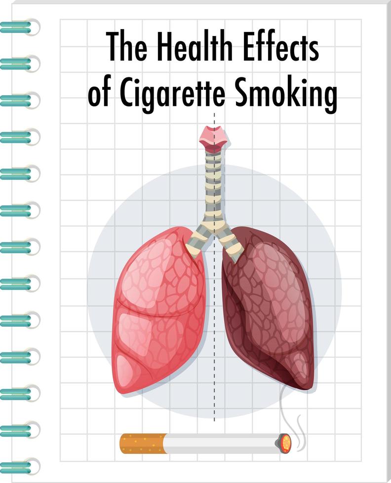 poster over gezondheidseffecten van het roken van sigaretten vector