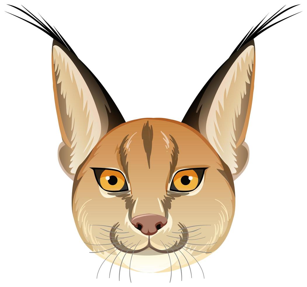 caracal kat hoofd op witte achtergrond vector