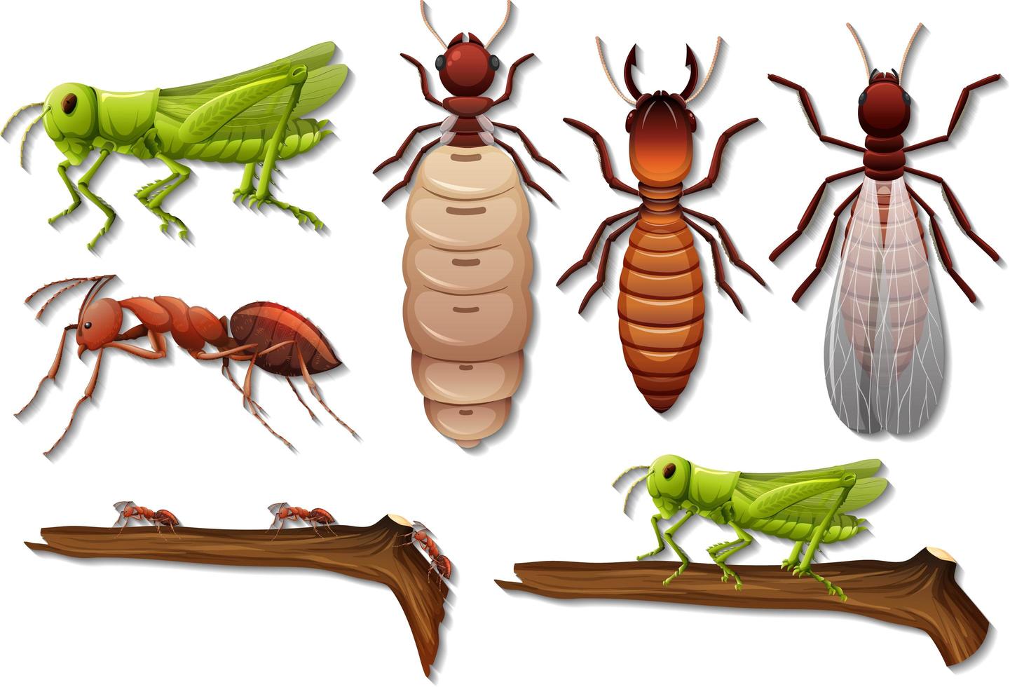 aantal verschillende insecten geïsoleerd op een witte achtergrond vector