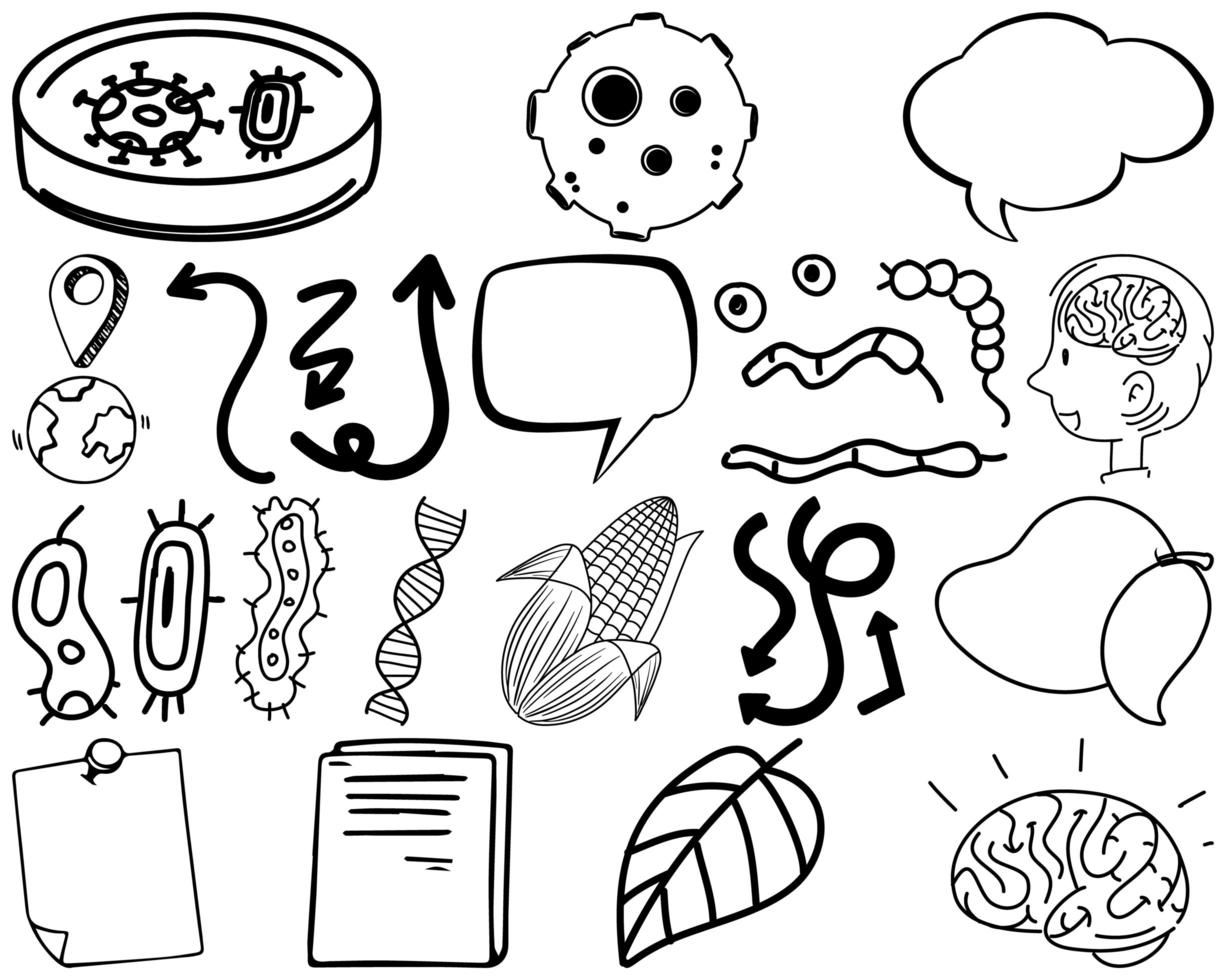 set item en symbool hand getrokken doodle vector