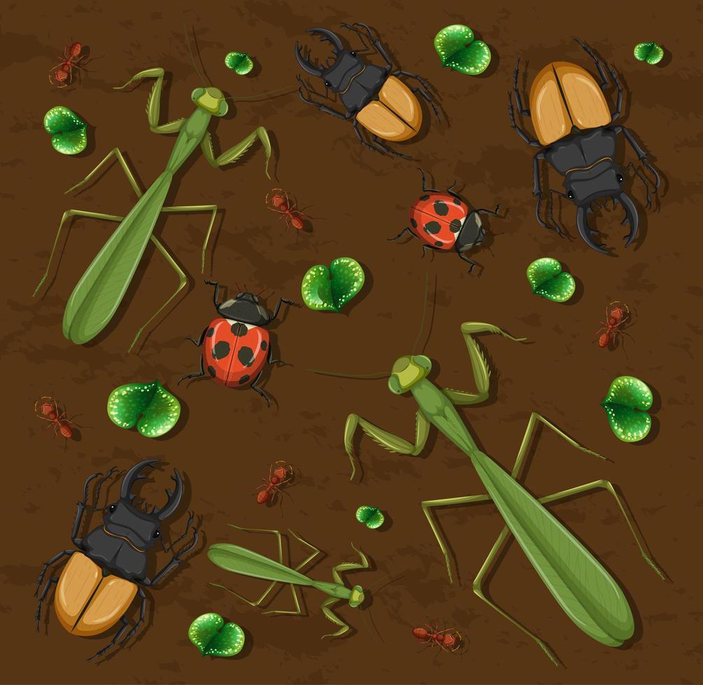 set van verschillende insecten op houten wallpaper achtergrond vector